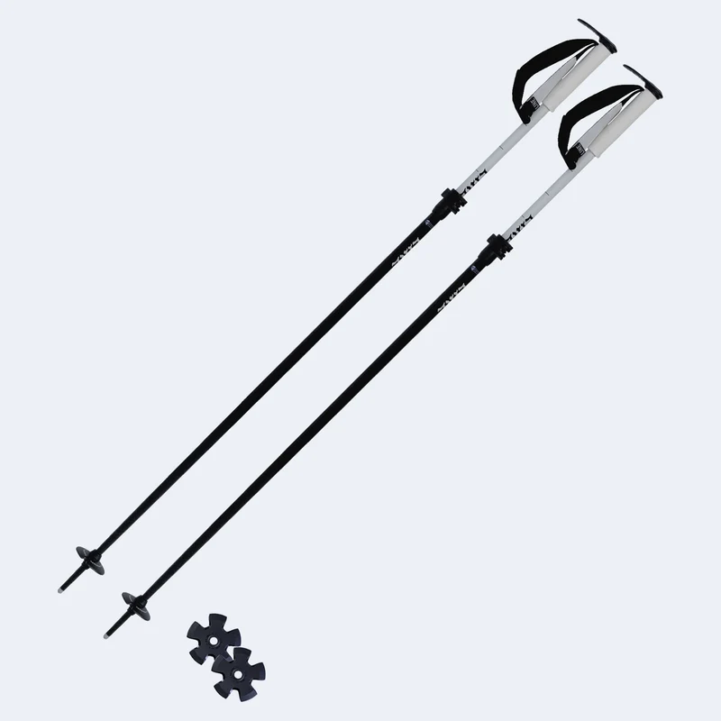 2027 Line Paintbrush Adjustable Poles