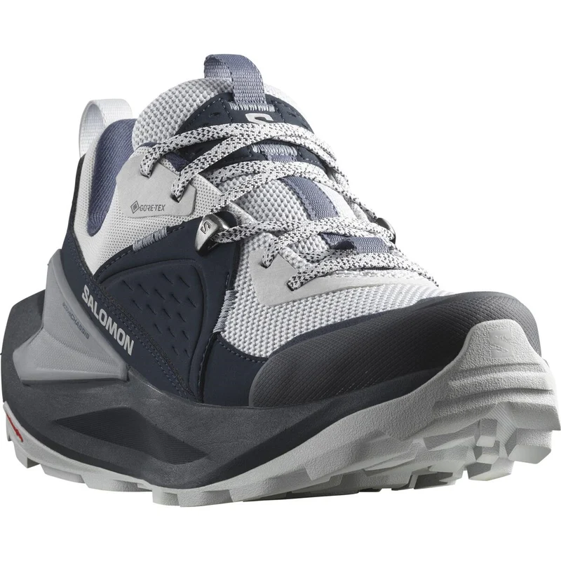 SALOMON shoes Elixir GTX W carbon/pearl blue/flint stone