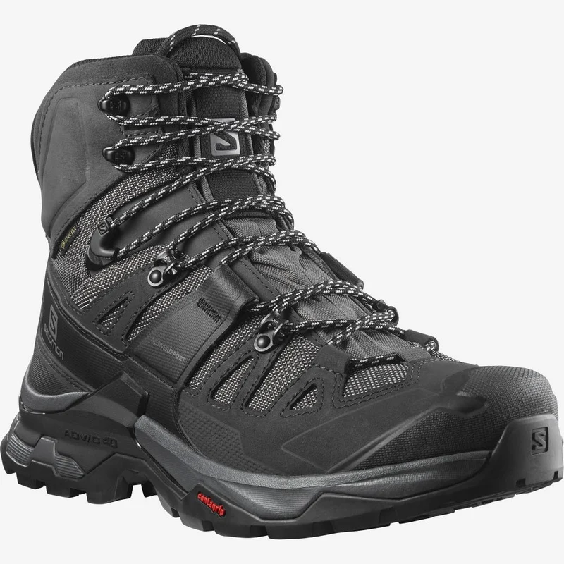 SALOMON shoes Quest 4 GTX magnet/black/quarry