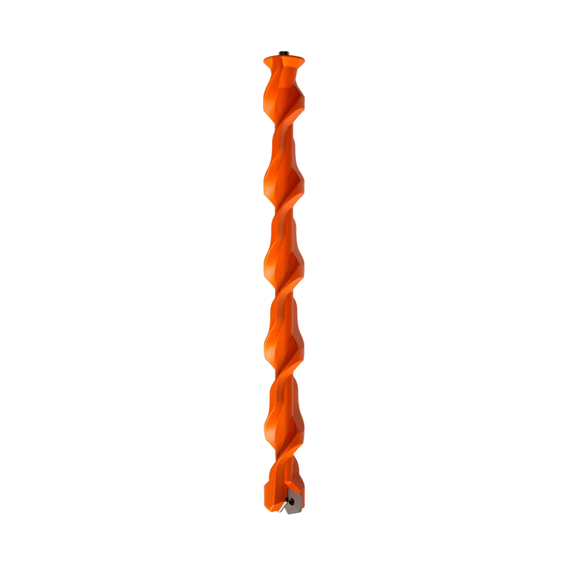 Orange Fox sneeuwboren