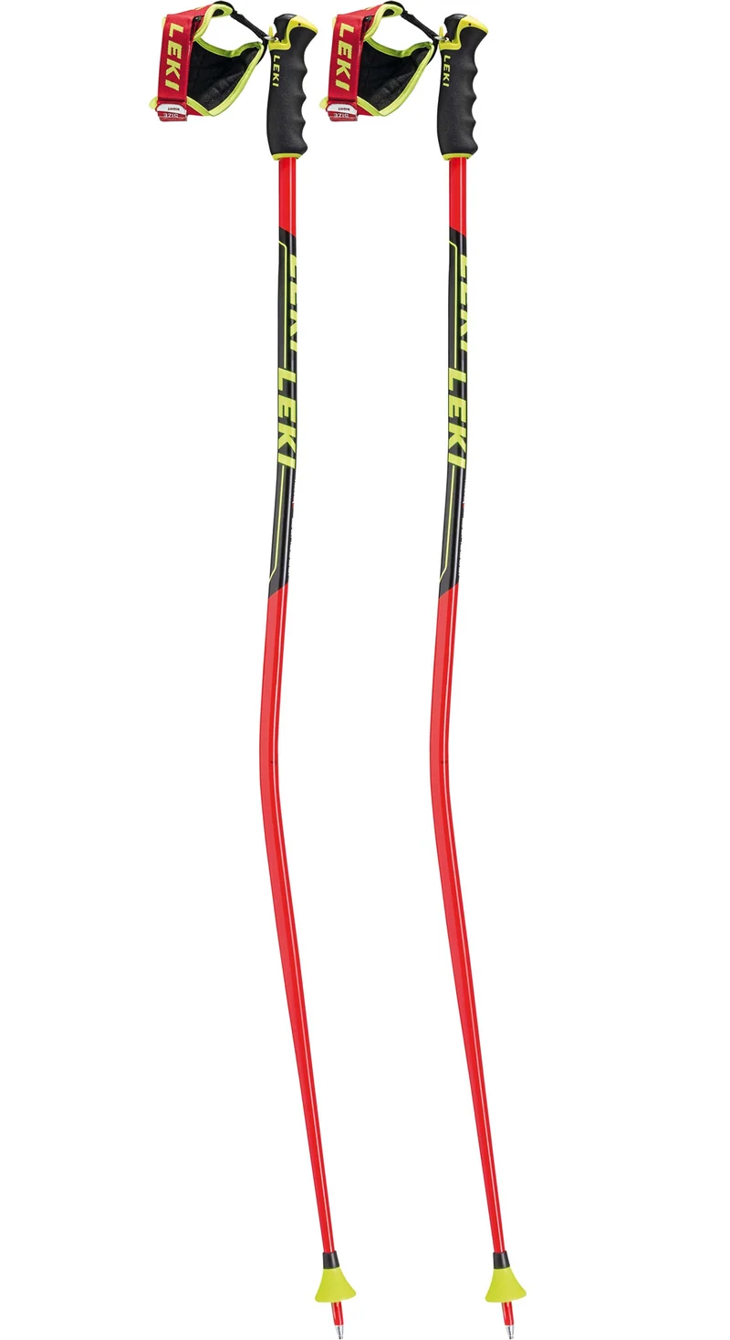 LEKI poles WC Racing GS