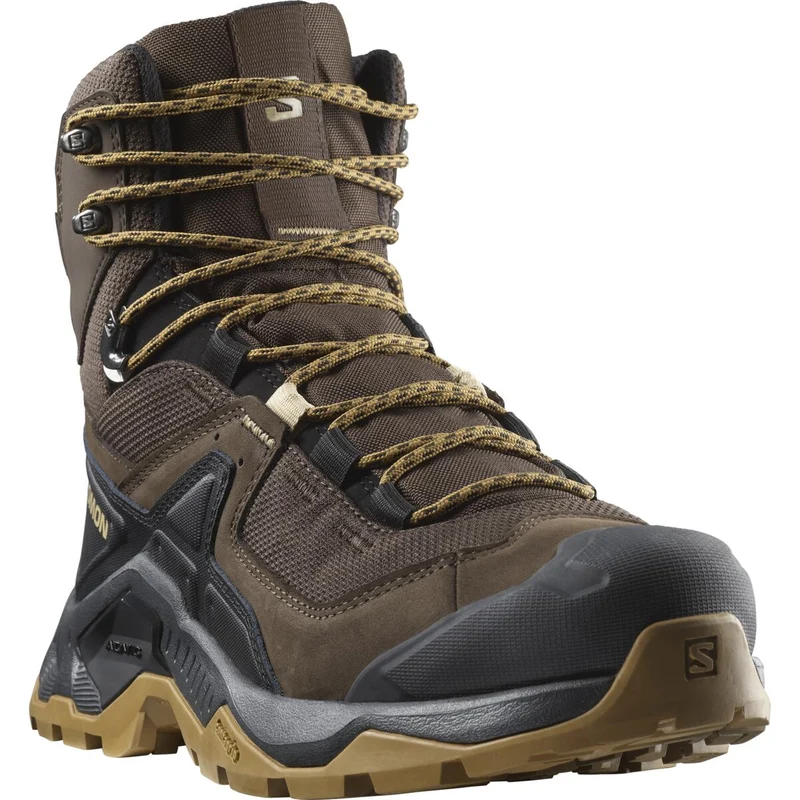 SALOMON shoes Quest Element GTX delicioso/black/dull gold