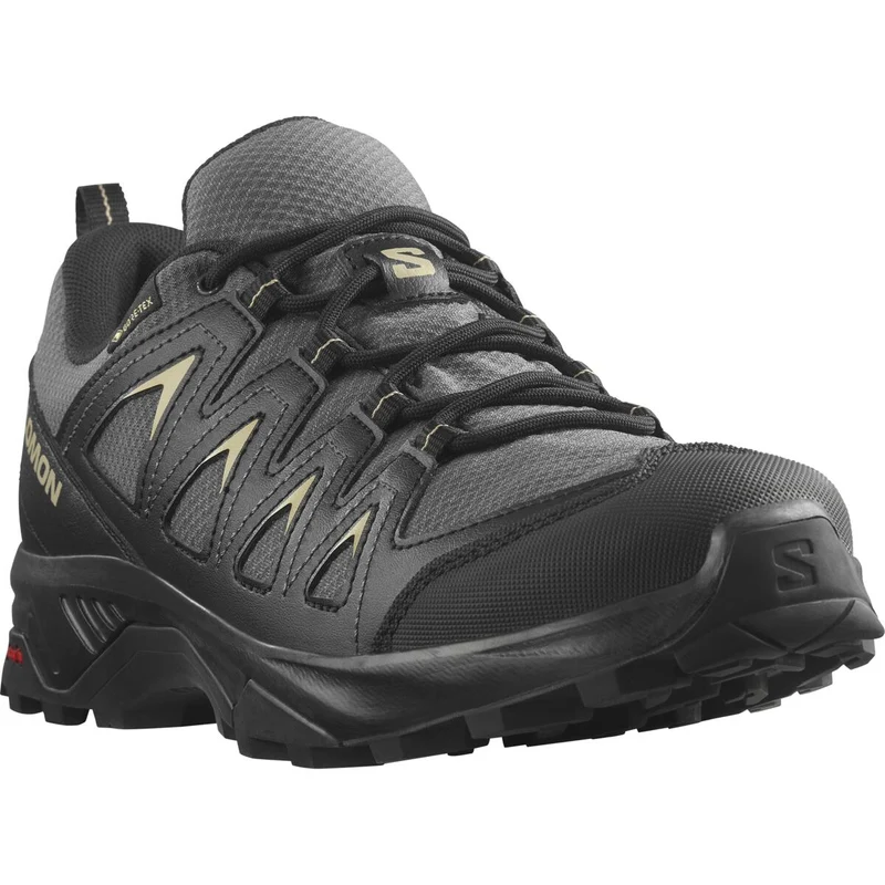SALOMON shoes X Braze GTX magnet/black/gray green