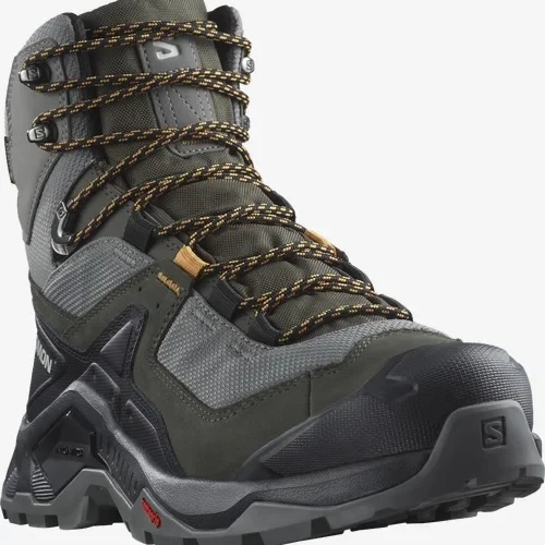 SALOMON shoes Quest Element GTX pewter/beluga/buckskin